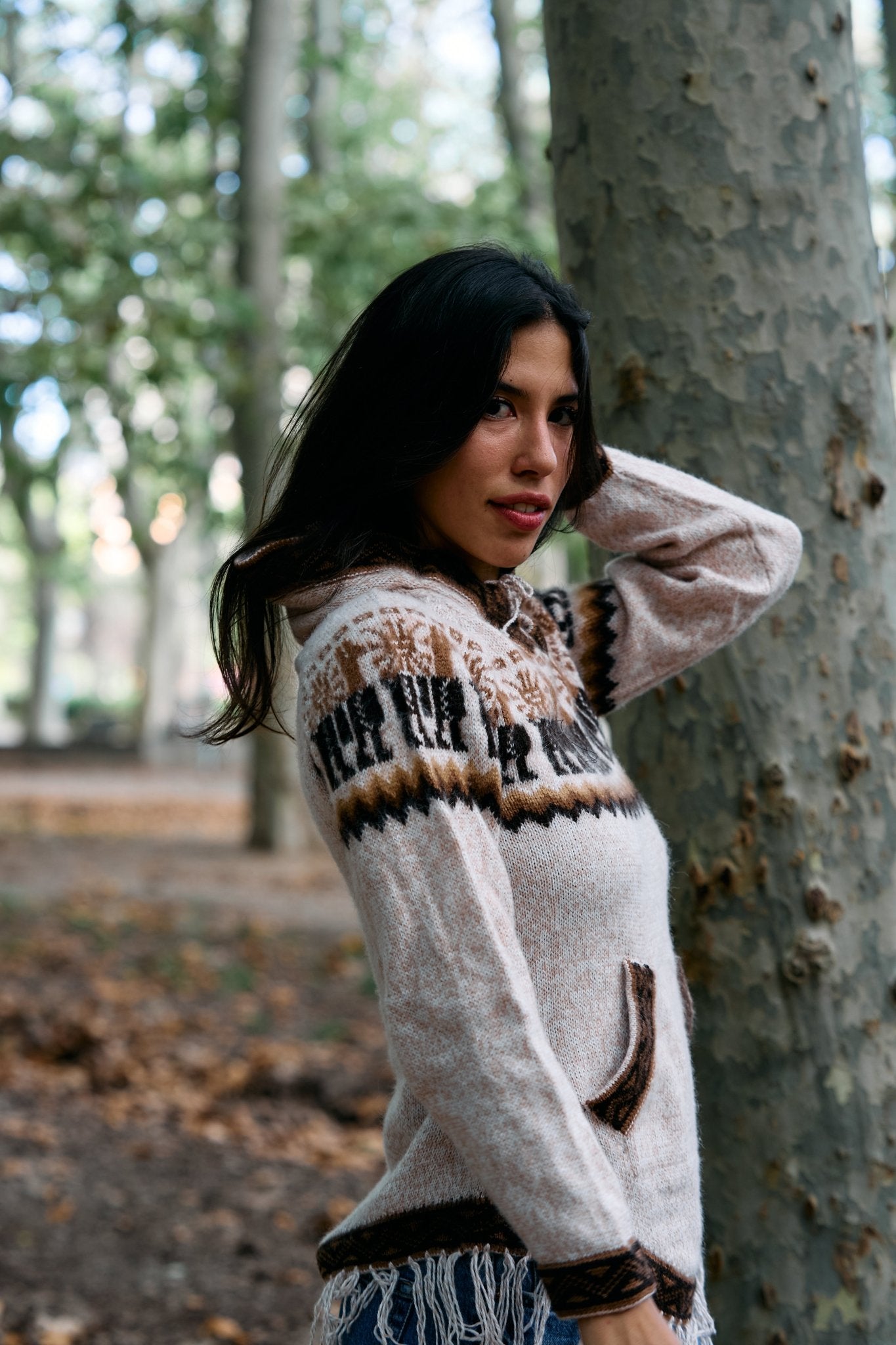 Peruvian alpaca Andean sweater