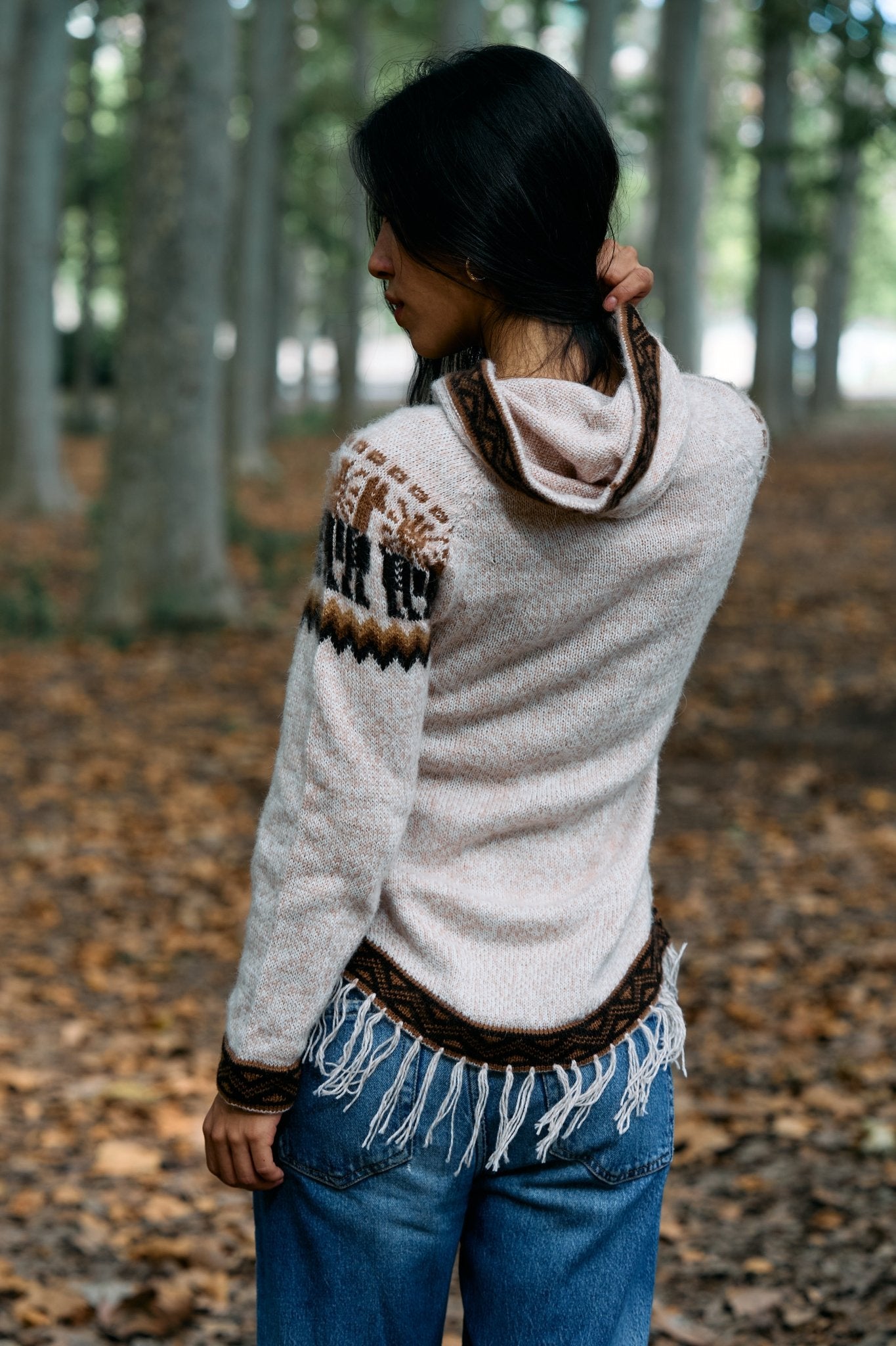Peruvian alpaca Andean sweater