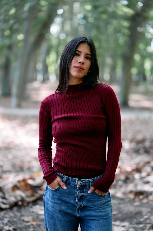 Pull en alpaga péruvien Cafarena